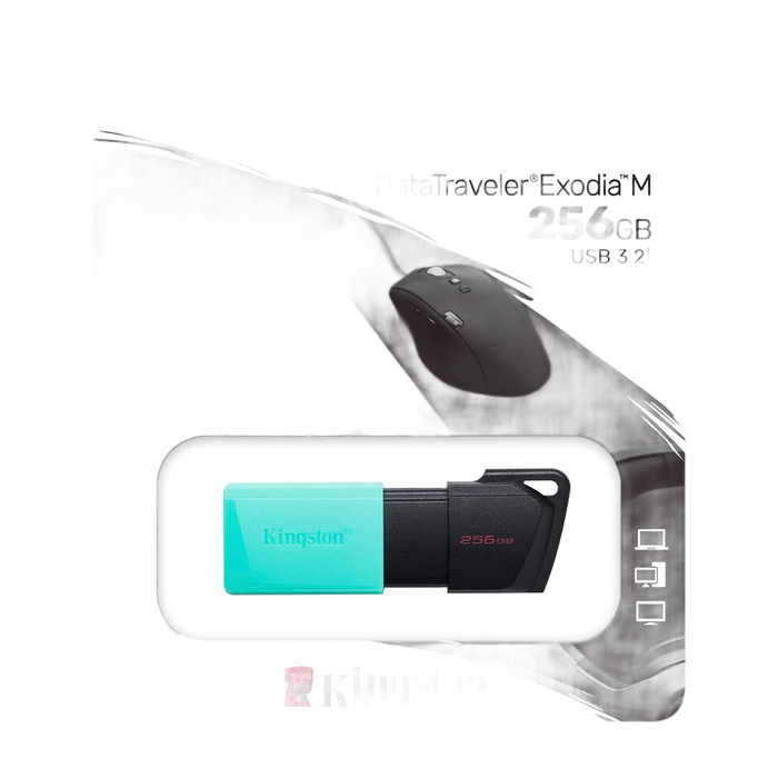 256GB USB Flash Drive Data Backup USB3.2 Connection