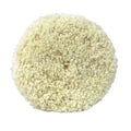 3M 05703 Double - Sided Compound Pad | 9 in Dia | Screw - On Attachment - 05703 - Eagle National Supply