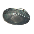 Abalone Shell