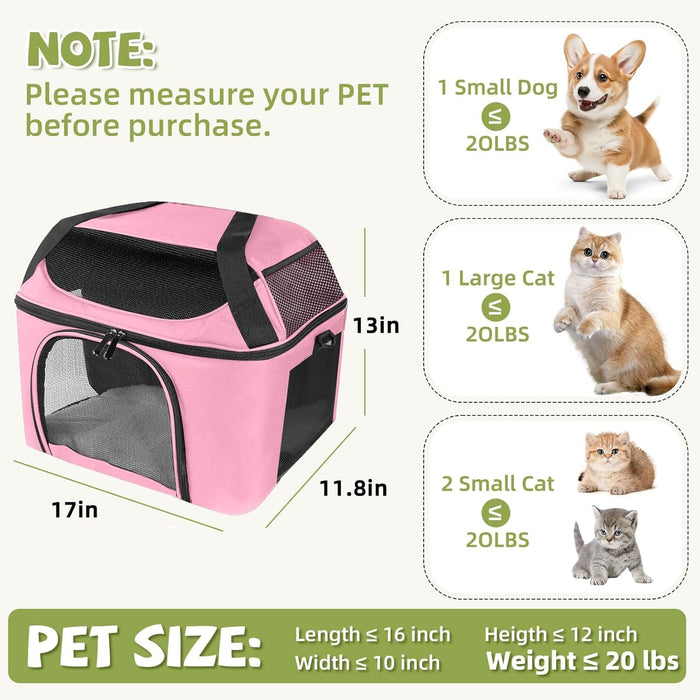 Airline-Approved Cat Carrier Backpack
