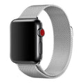 Apple Watch bandje Fiore - milanese - zilver