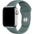 Apple Watch bandje Vyon - siliconen - cactus