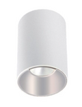 CL-DL2-RS-12W-30D-3K-WH