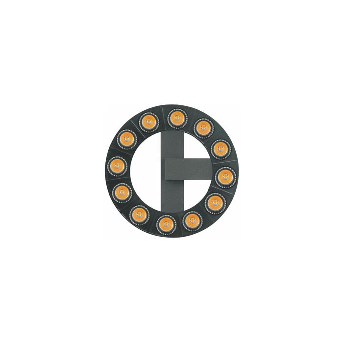 CL-Halo-D12