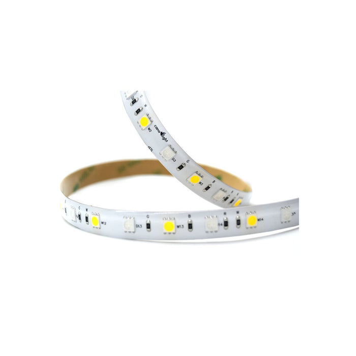 CL-ST-SMD5050-60-10-2465-RGBW