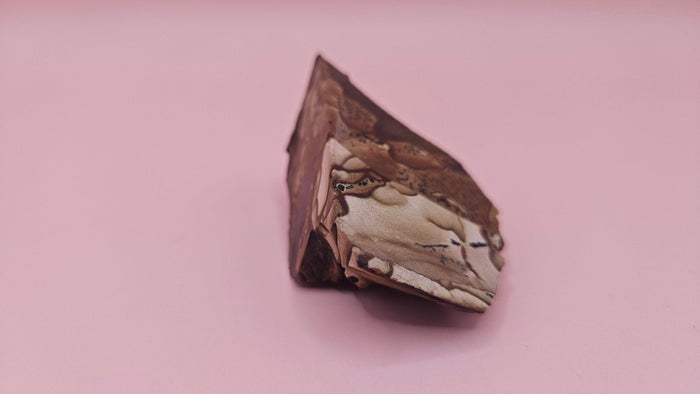 Deschutes Jasper Rough Specimen