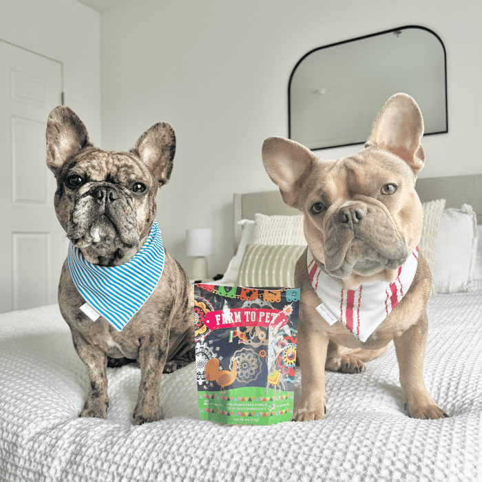 Farm to Pet Premios Para Perros Fiesta Pack