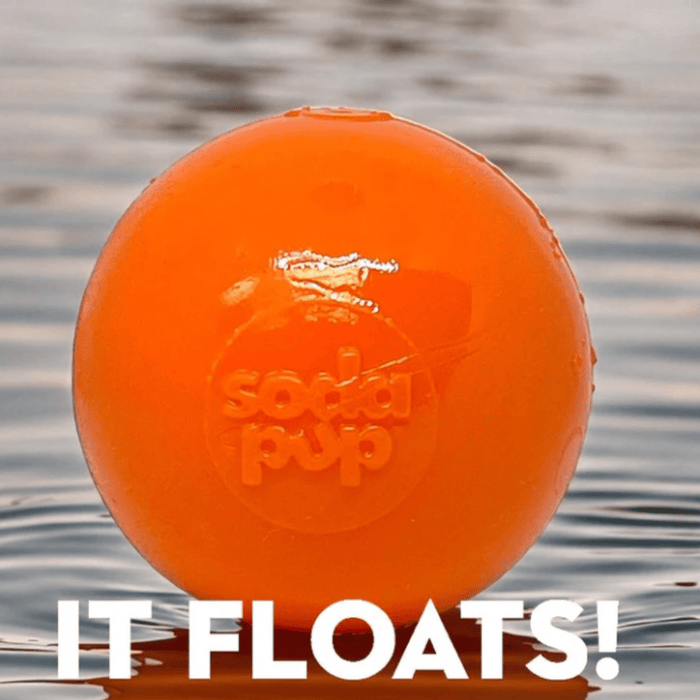 Interactive Dog Fetch Balls