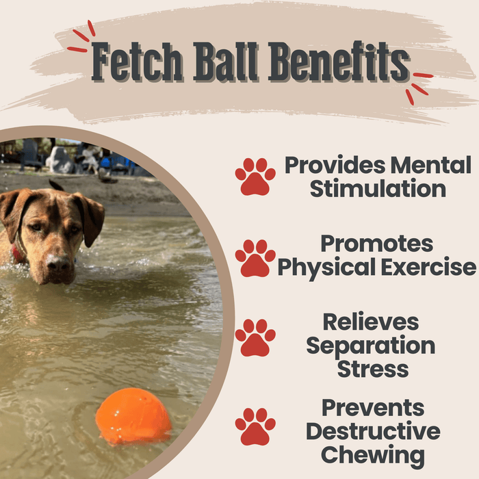 Interactive Dog Fetch Balls
