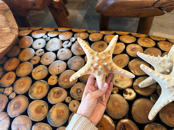 Large Natural Knobby Starfish