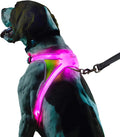 LED Light-Up Dog Harness