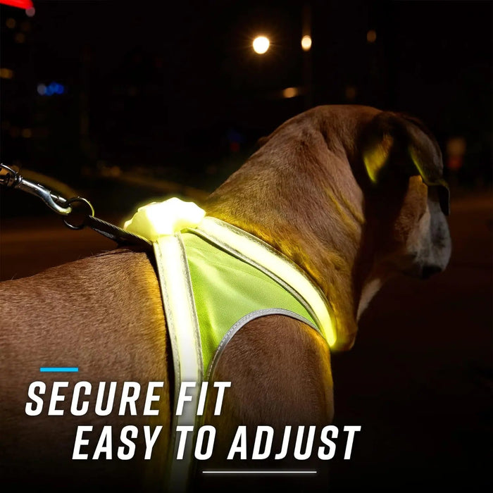 LED Light-Up Dog Harness