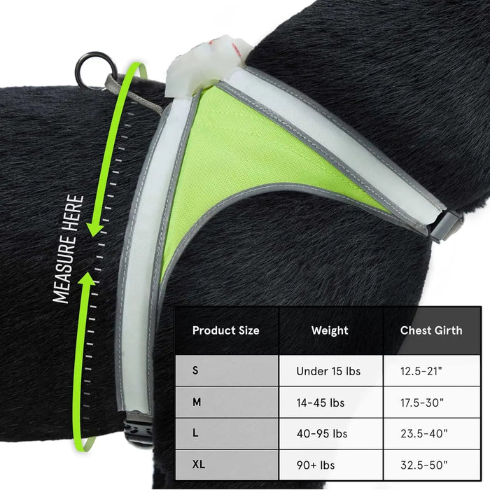 LED Light-Up Dog Harness