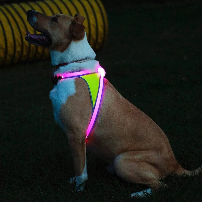 LED Light-Up Dog Harness