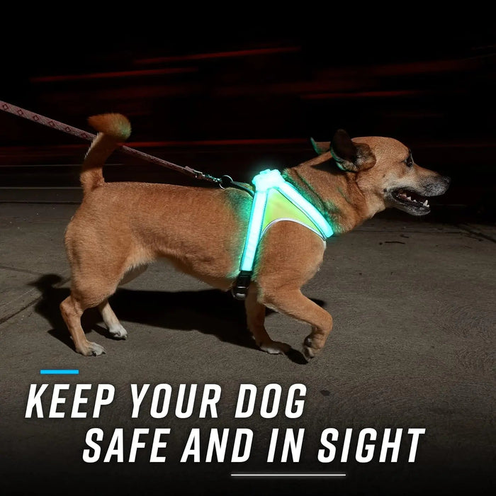 LED Light-Up Dog Harness