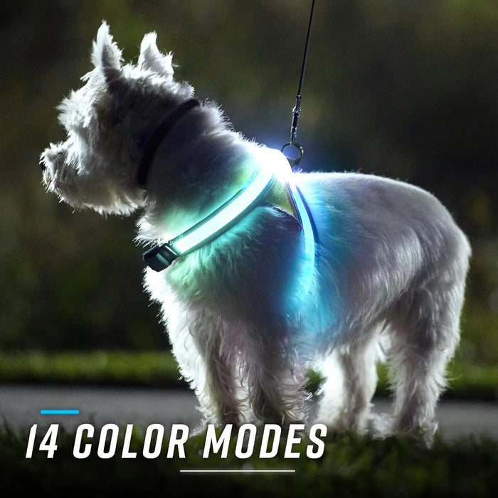 LED Light-Up Dog Harness