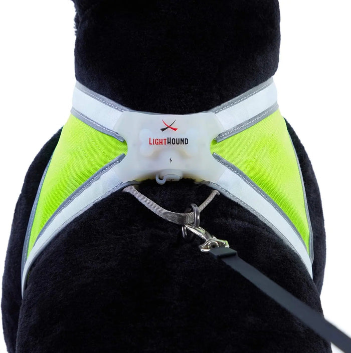LED Light-Up Dog Harness