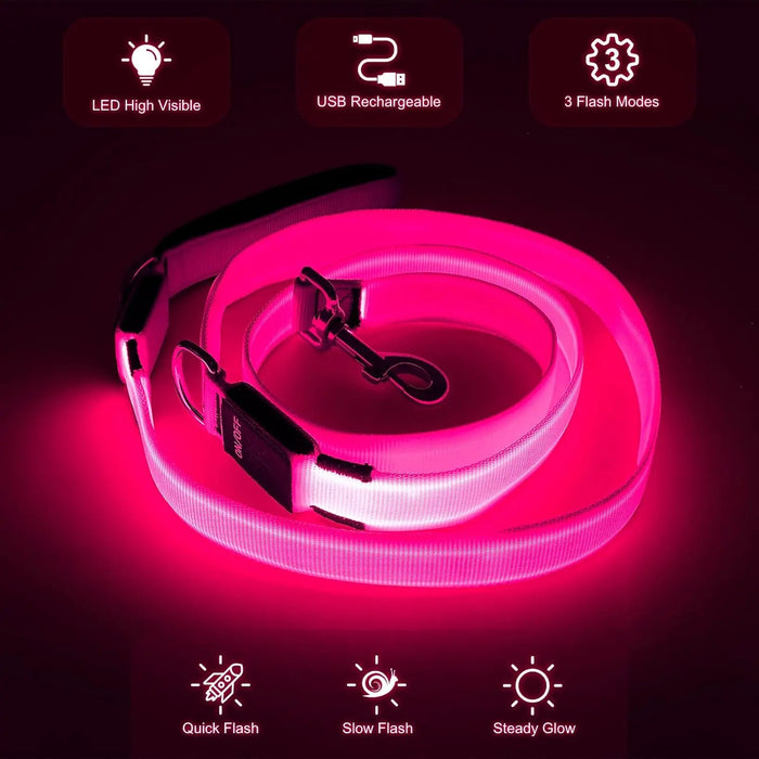 LED Light-Up Dog Leash