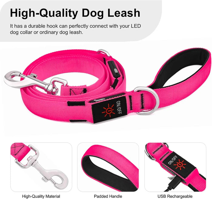 LED Light-Up Dog Leash