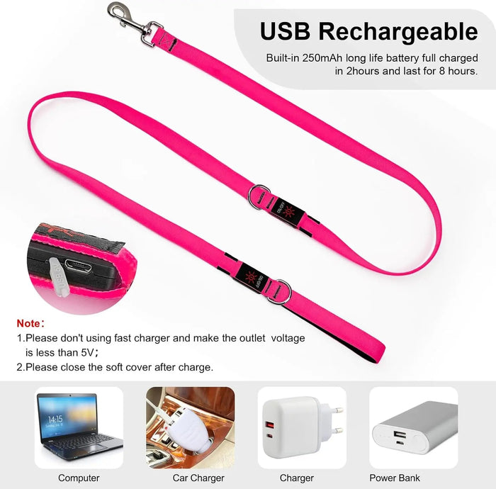 LED Light-Up Dog Leash