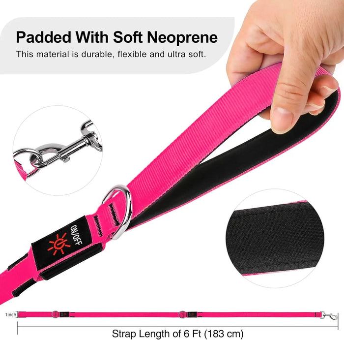 LED Light-Up Dog Leash