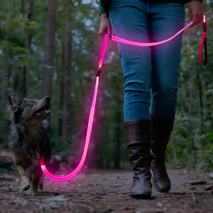 LED Light-Up Dog Leash