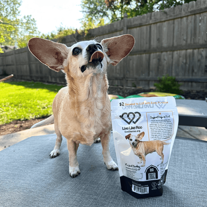 Live Like Roo Turkey Chips for Dogs