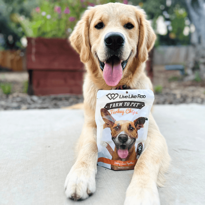 Live Like Roo Turkey Chips for Dogs