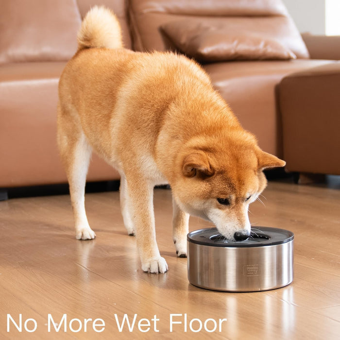 No-Spill Dog Water Bowl
