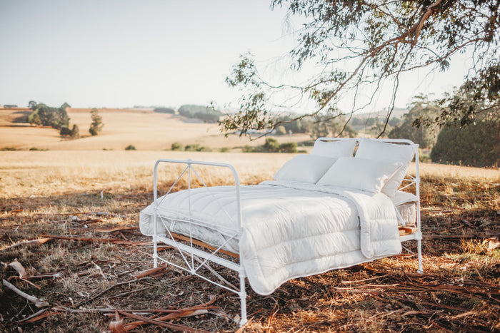 Pure Australian Wool Pillows