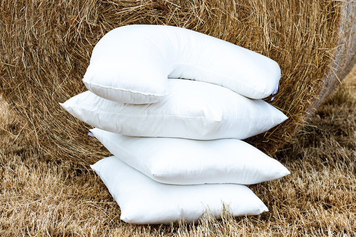 Pure Australian Wool Pillows