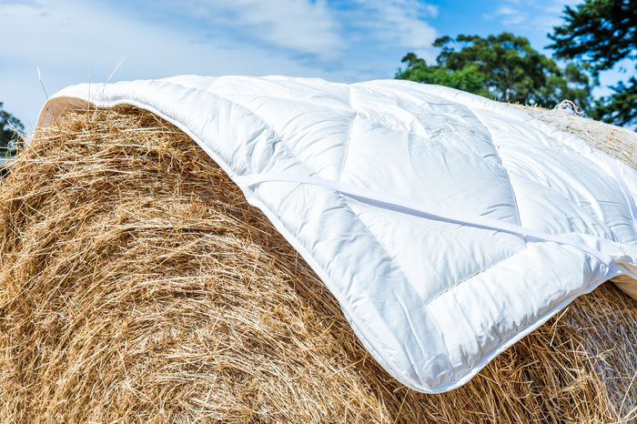 Pure Australian Wool Under Blankets
