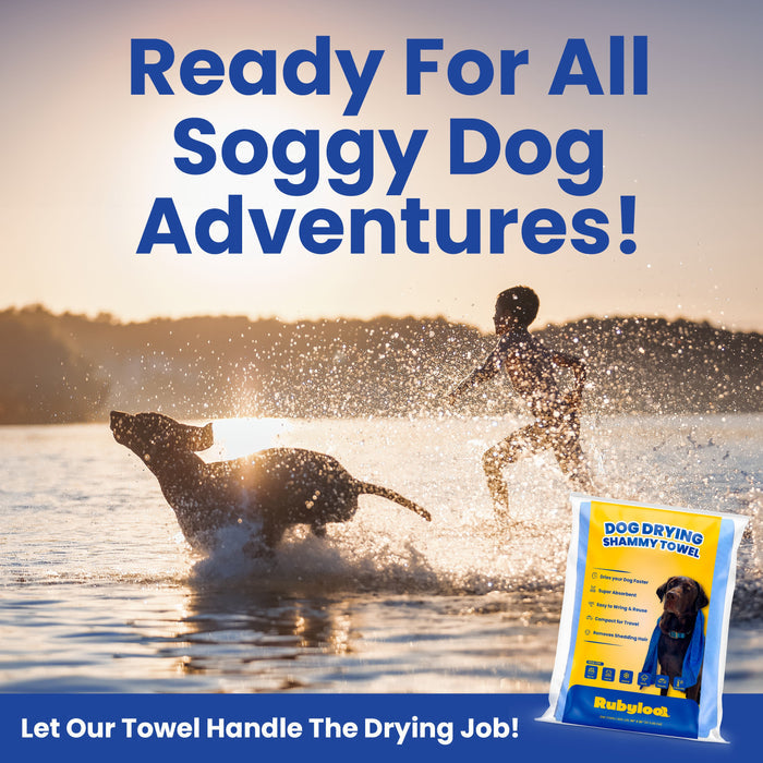 Rapid-Dry Dog Shammy Towel