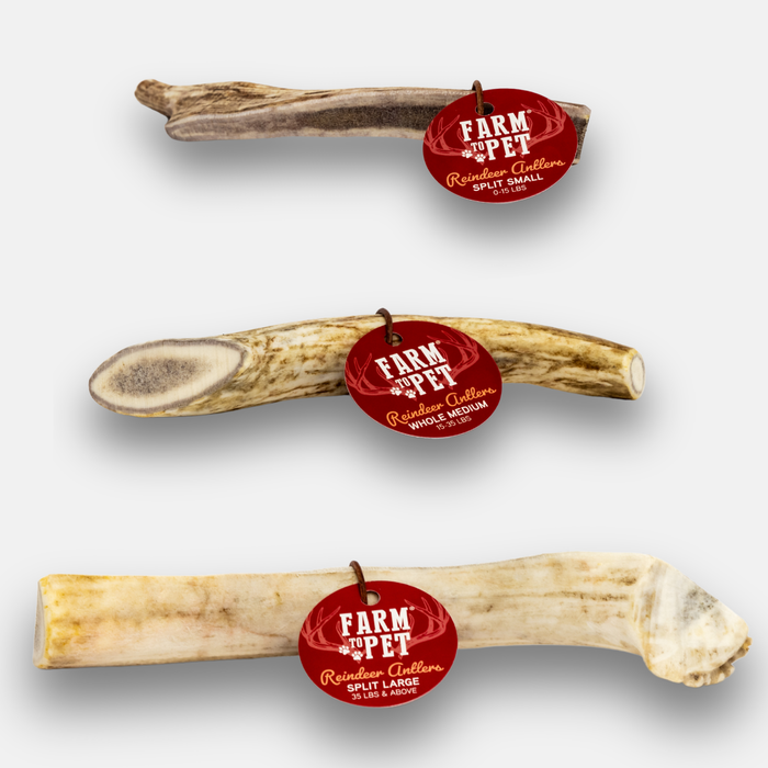 Reindeer Antler Dog Chews
