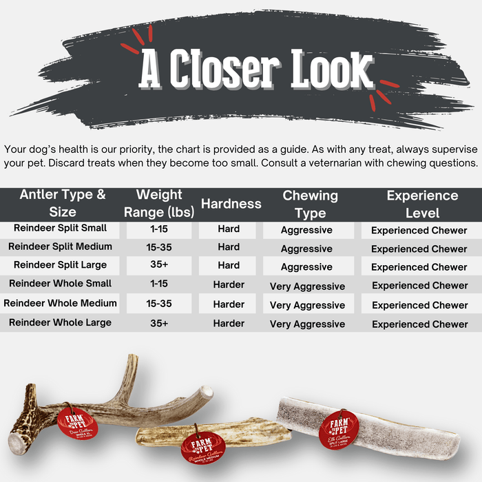 Reindeer Antler Dog Chews
