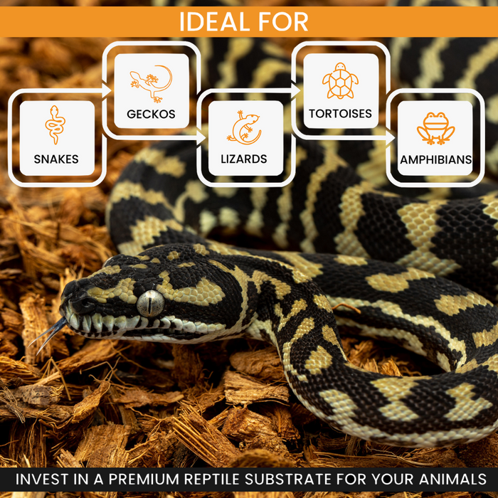 ReptiChip BabiChip Coconut Chip Substrate