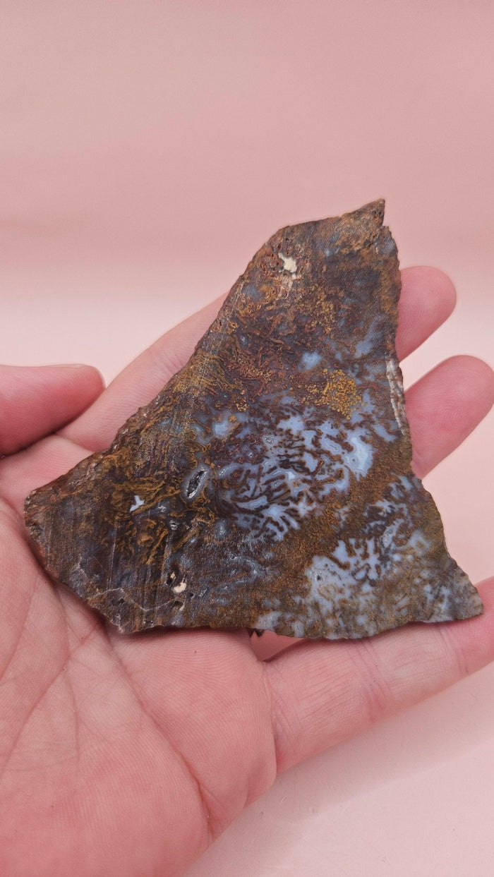 Rhyolite Slab