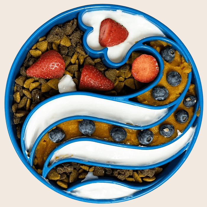 Slow Feeder Dog Bowl