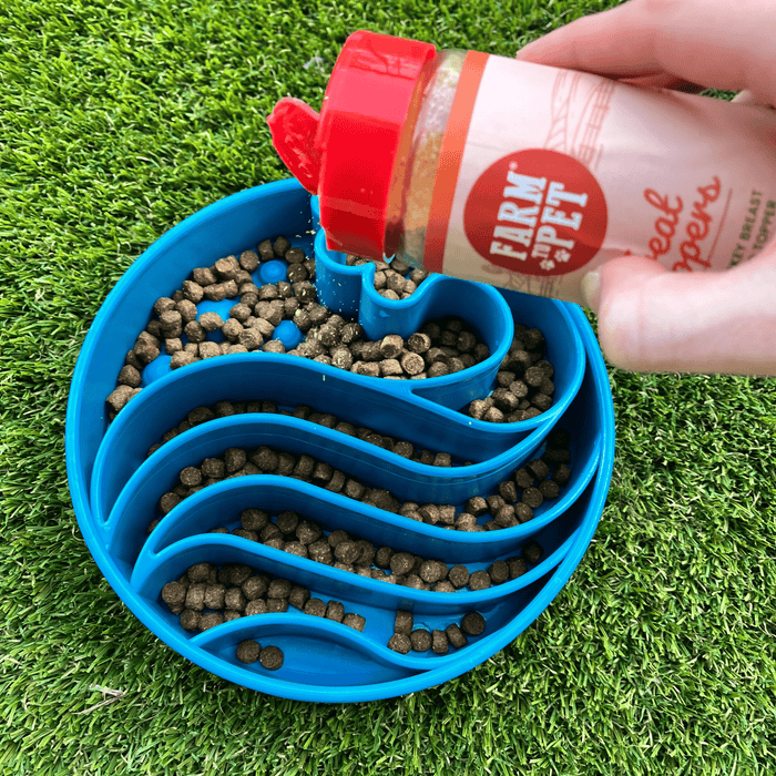 Slow Feeder Dog Bowl