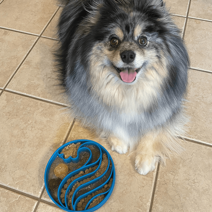 Slow Feeder Dog Bowl