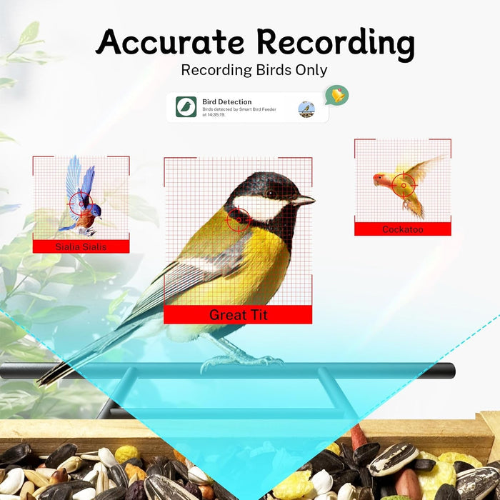 Smart Bird Feeder with 1080P HD WiFi Camera