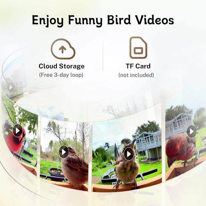 Smart Bird Feeder with 1080P HD WiFi Camera