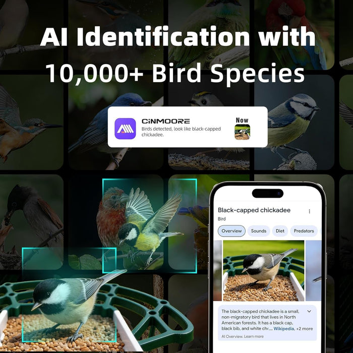 Solar-Powered Smart Bird Feeder with 2.5K HD WiFi Camera