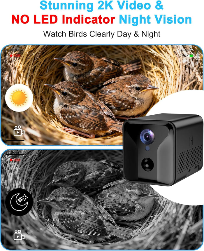 Solar-Powered Smart Birdhouse