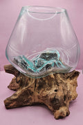 Teak Root & Molten Glass Terrarium