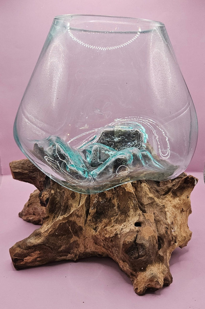 Teak Root & Molten Glass Terrarium