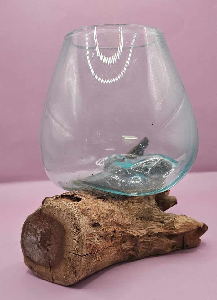 Teak Root & Molten Glass Terrarium