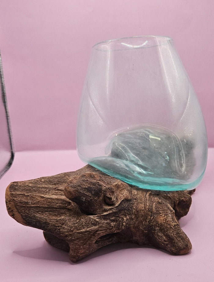 Teak Root & Molten Glass Terrarium