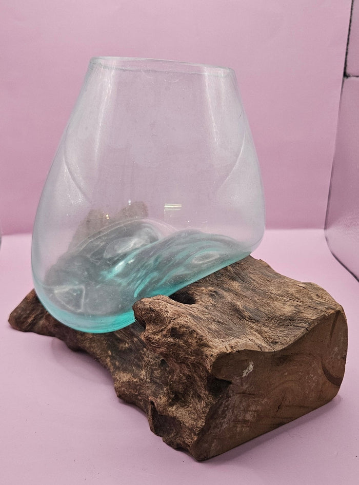 Teak Root & Molten Glass Terrarium