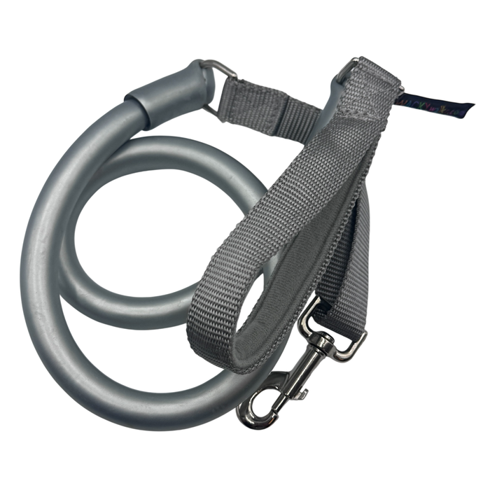 Silver / SMALL: up to 20 lbs.